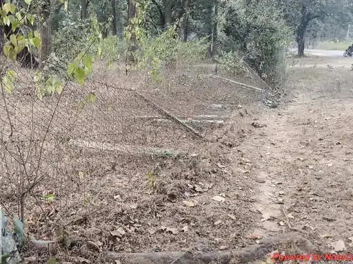 अनूपपुर: हाथियों का कहर जारी, 5 किसानों की फसलों का पहुंचाया नुकसान, 20 खंभों के साथ फेंसिंग दीवार तोड़ी