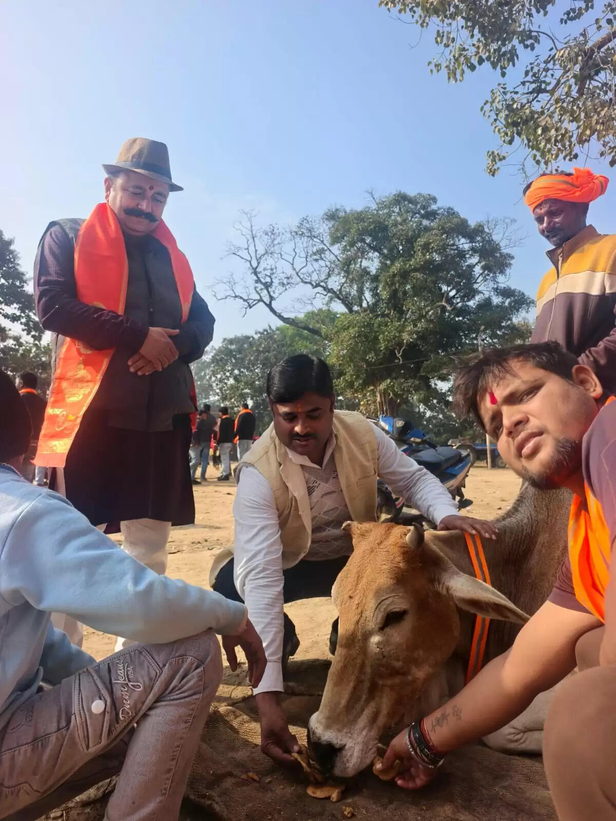 विश्व हिंदू महासंघ ने निराश्रित गोवंश को दुर्घटनाओं से बचाने के लिए शुरु किया अभियान