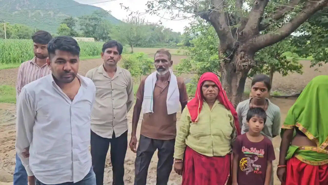 पैंथर ने घर के बाहर बंधे भैंस के पाड़े का किया शिकार, लादिया माेहल्ले में सीसीटीवी में कैद, लोगों में दहशत