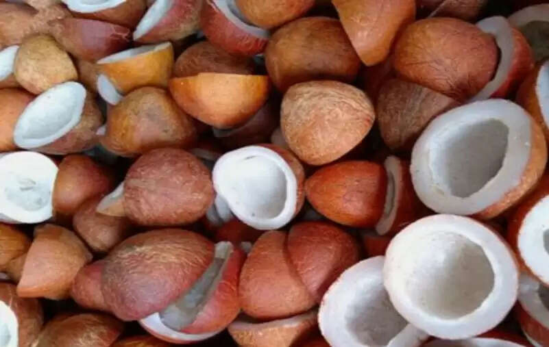 केंद्र ने नारियल के एमएसपी में किया इजाफा