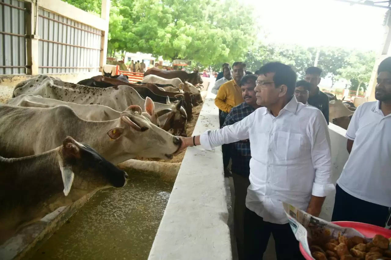 गौमाता की सेवा मनुष्य के जीवन के लिए बहुत फलदाई : एके शर्मा