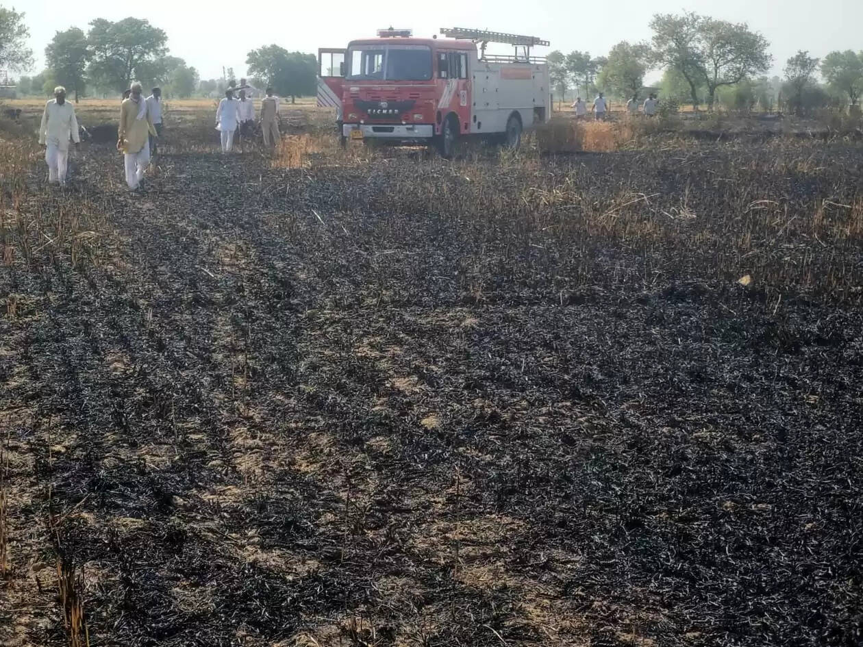 हांसी : जमावड़ी गांव में गेहूं के खेत में लगी आग, 9 एकड़ में खड़ी गेहूं जलकर हुई राख