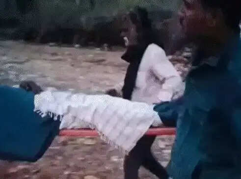 राजसमंद के थोरिया गांव में भालुओं का हमला, बुजुर्ग की मौत