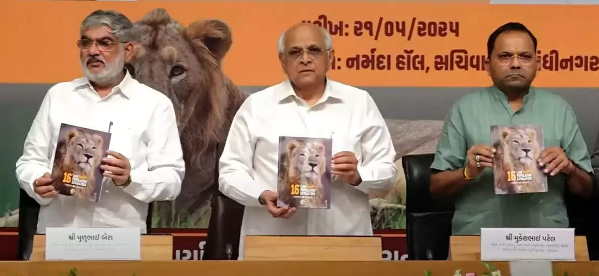 गुजरात में एशियाई शेरों की संख्या बढ़कर 891 हुई