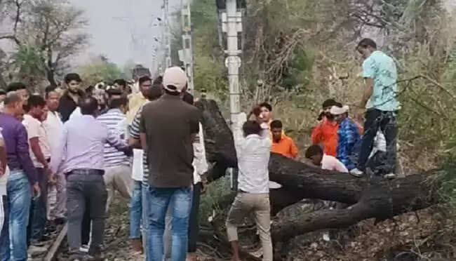 मप्रः शाजापुर-सारंगपुर के बीच रेल ट्रैक पर गिरा पेड़, रेल सेवा बाधित