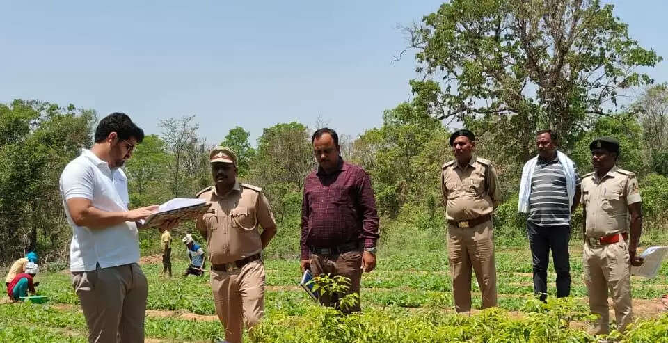 बलरामपुर : वनमण्डलाधिकारी ने किया रामानुजगंज वन परिक्षेत्र का निरीक्षण