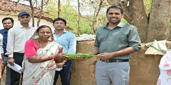 रागी की खेती से समृद्धि की नई मिसाल बनी शकुन बाई कुजांम