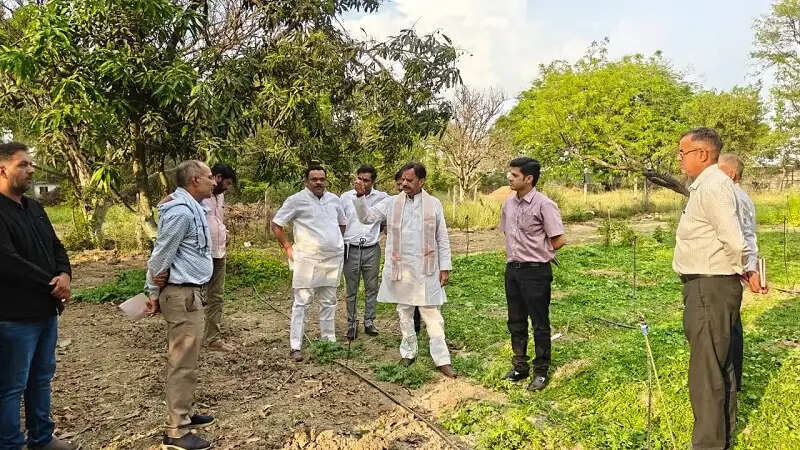 रीवाः उप मुख्यमंत्री शुक्ल ने प्राकृतिक खेती का लिया जायजा