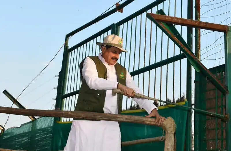 मप्र के कान्हा टाइगर रिजर्व के सूपखार में सौ साल बाद जंगली भैंसों की वापसी