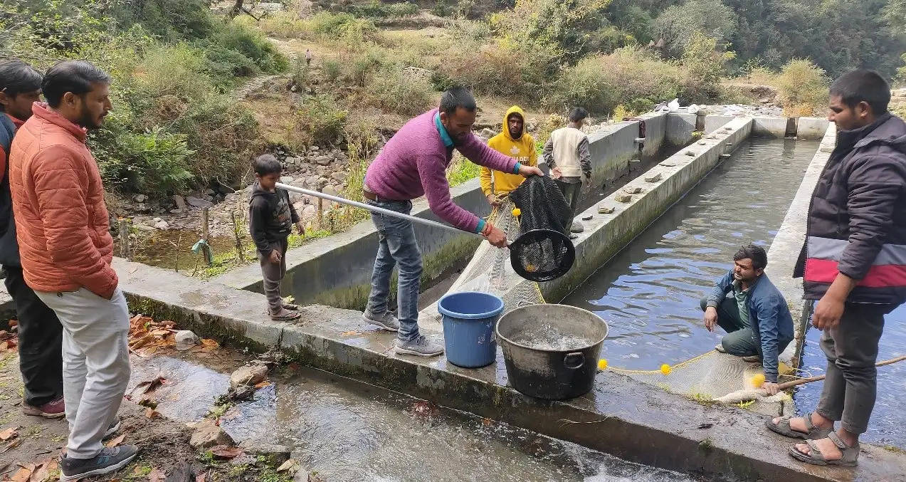 चमोली के काश्तकारों को मछली बीज उत्पादन के लिए आत्मनिर्भर बना रहा मत्स्य विभाग