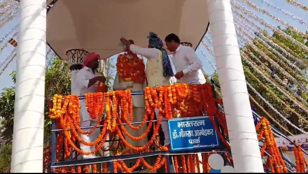 बाबा साहब ने ऐसा संविधान दिया है, जहां हर धर्म और हर जाति को ताकत व सम्मान मिला है : रवि किशन