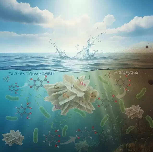 आईआईटी रुड़की : वैज्ञानिकों ने जल से विषैले प्लास्टिक प्रदूषकों को हटाने की नैनो सक्षम तकनीक विकसित की