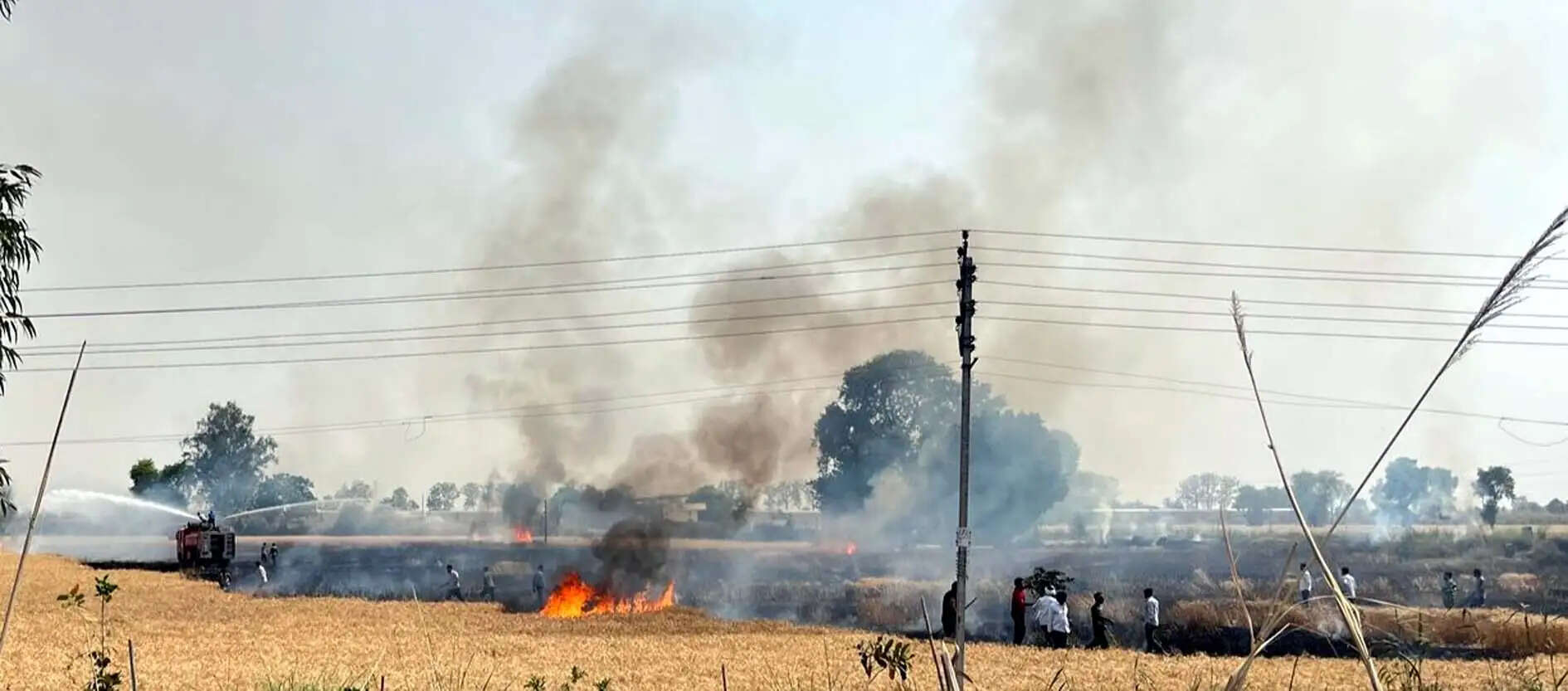 हिसार : बिजली तारों से निकली चिंगारी से गेहूं के खेत में लगी आग