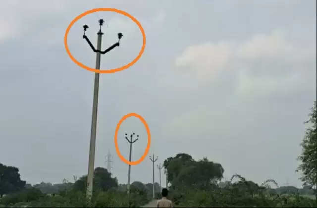 पलवल: किसानों के ट्यूबवैल से 740 मीटर बिजली की तार चोरी