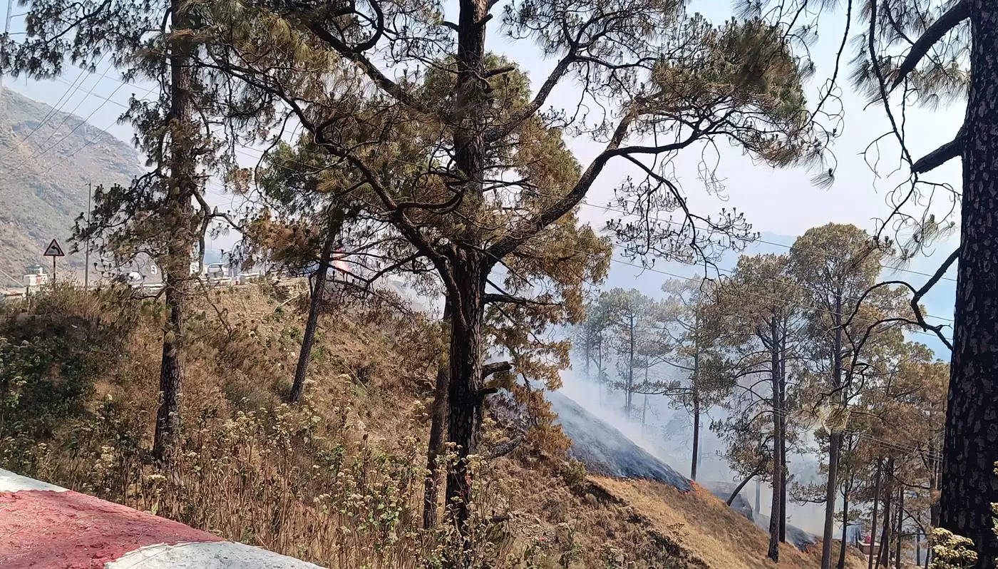 भूमियाधार के निकट व्यू प्वाइंट के नीचे जंगल में लगी आग