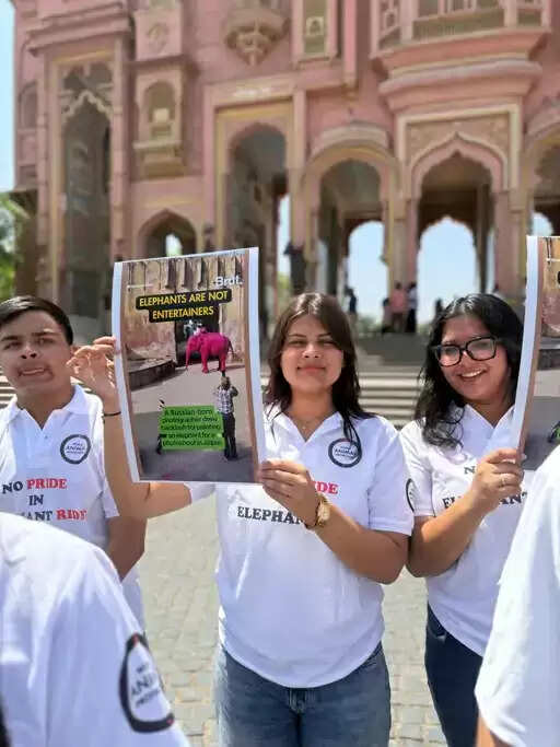 सेव द एलिफेंट डे पर विरोध: आमेर में हाथी सवारी बंद करने की मांग