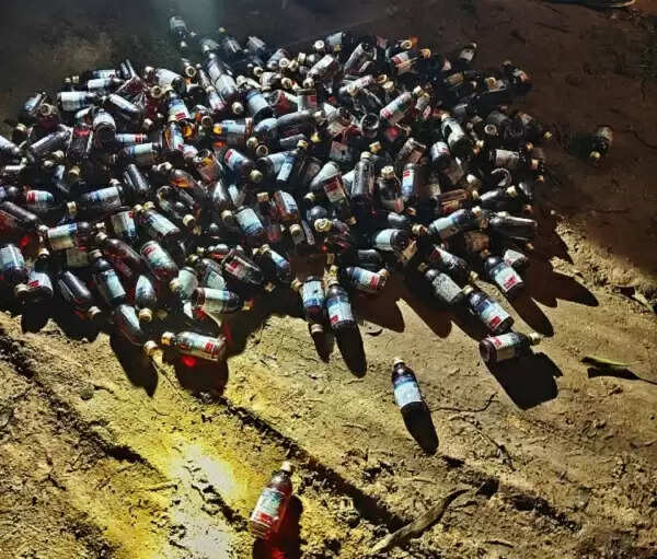 मप्रः कपास के खेत में अवैध गांजे की खेती करते पकड़ाए तस्‍कर, मैहर में 286 कफ सिरप जब्‍त