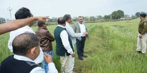 ओलावृष्टि प्रभावित ग्रामों के खेतों में पहुंचे अफसर, कलेक्टर बोले- जल्द करें सर्वे