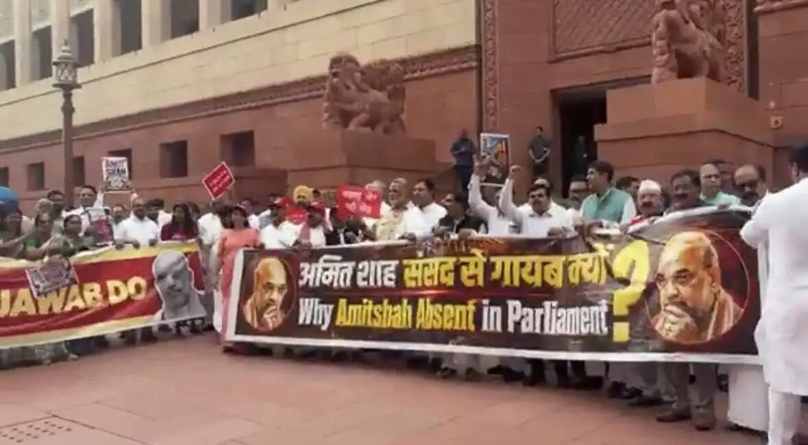 प्रदर्शनकारी छात्रों पर पुलिस कार्रवाई व अन्य मुद्दों पर विपक्ष का संसद परिसर में प्रदर्शन, गृहमंत्री से जवाब की मांग