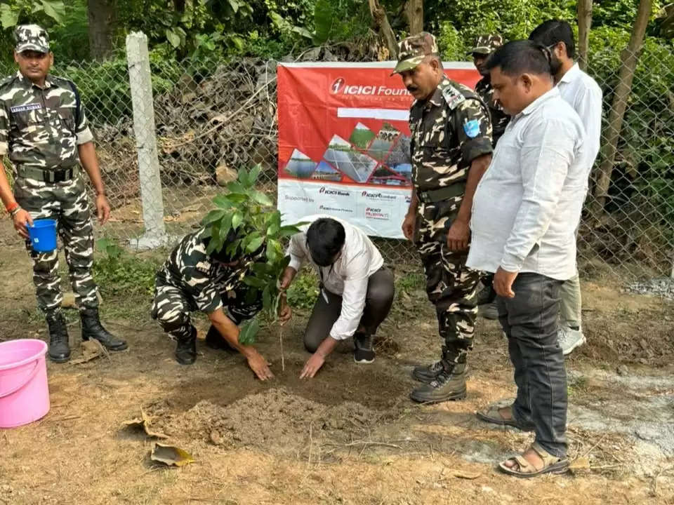 एसएसबी कैंप परिसर में आइसीआईसीआई फाउंडेशन ने लगाया 400 फलदार वृक्ष