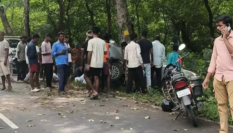 वाल्मीकिनगर में तेज रफ्तार कार पेड़ से टकराई, छह युवक घायल