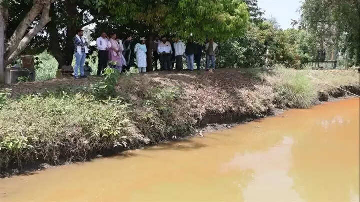 नरसिंहपुरः खेत तालाब बना आय का जरिया, मछली पालन से हो रही एक लाख रुपये से अधिक की कमाई