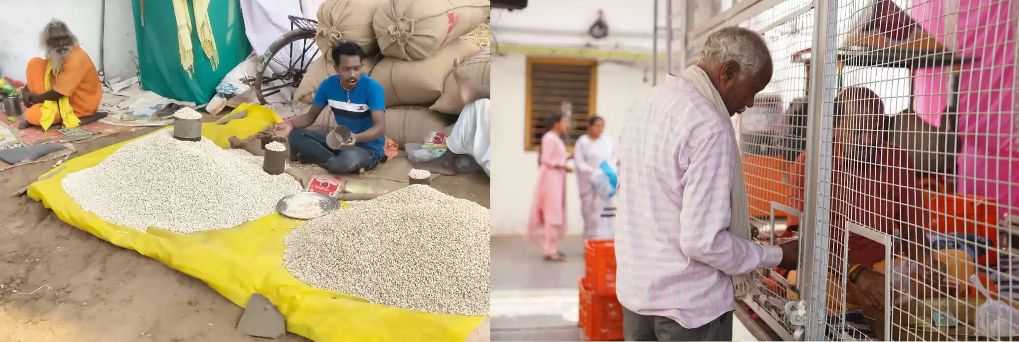 राजिम कुंभ कल्प&nbsp;:&nbsp;छह फीट लंबी लट के साथ सौ वर्षीय रामकली पहुंची राजिम कुंभ, श्रद्धालुओं के बीच बनीं आकर्षण का केंद्र