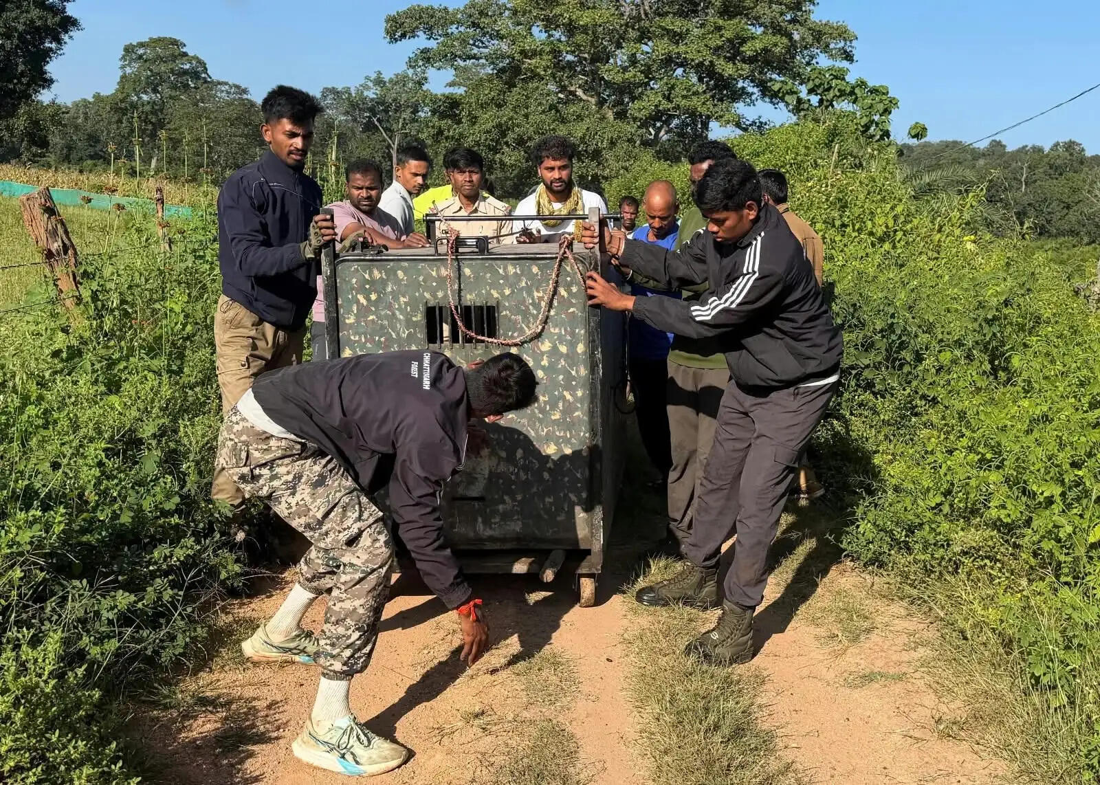 बेटी को बचाने के लिए खूंखार तेंदुए से भिड़ा पिता, ग्रामीणों ने घेराबंदी कर पकड़ा