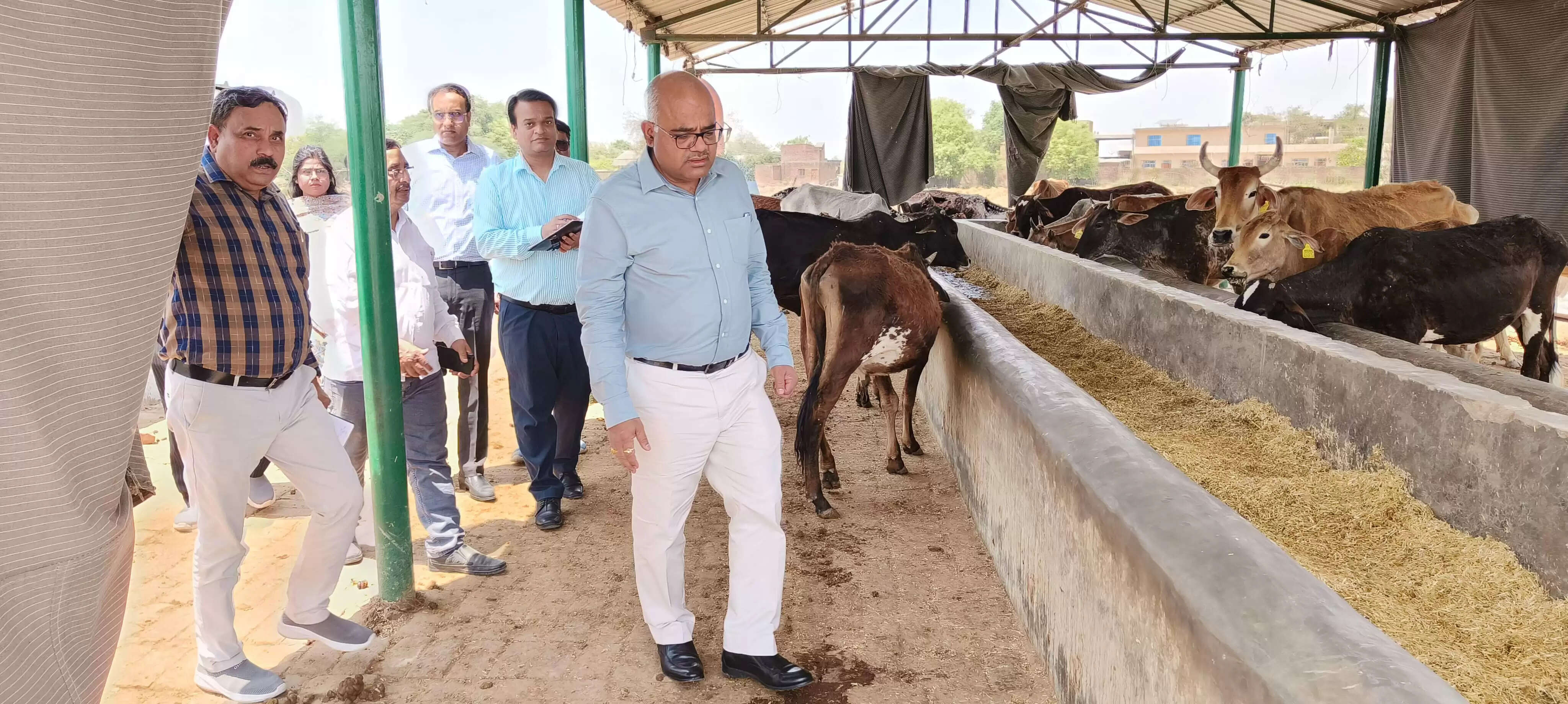 गौआश्रय स्थल में अव्यवस्थाओं पर डीएम सख्त, सुधार के दिये निर्देश