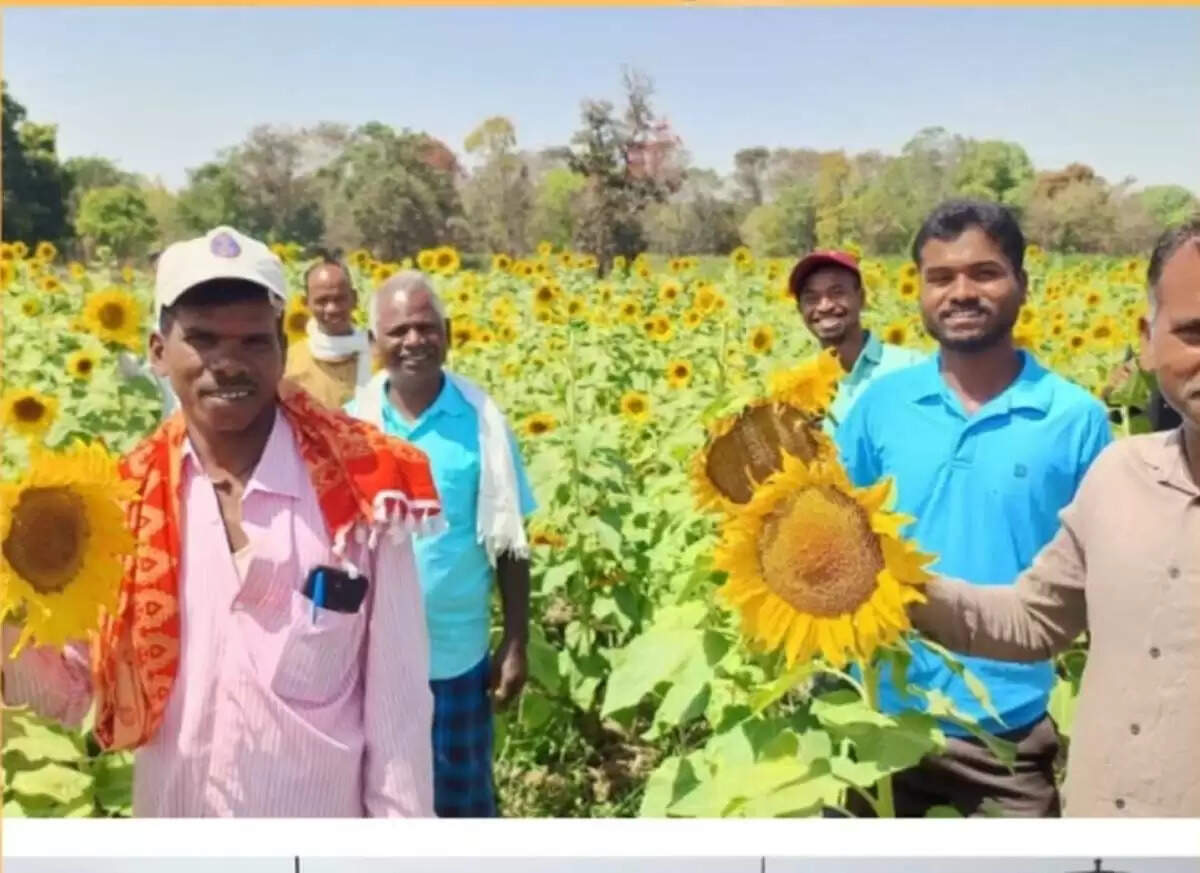 छत्तीसगढ़ में खेती का स्वर्णिम अध्याय शुरू&nbsp;:&nbsp;केंद्रीय कृषि मंत्रालय