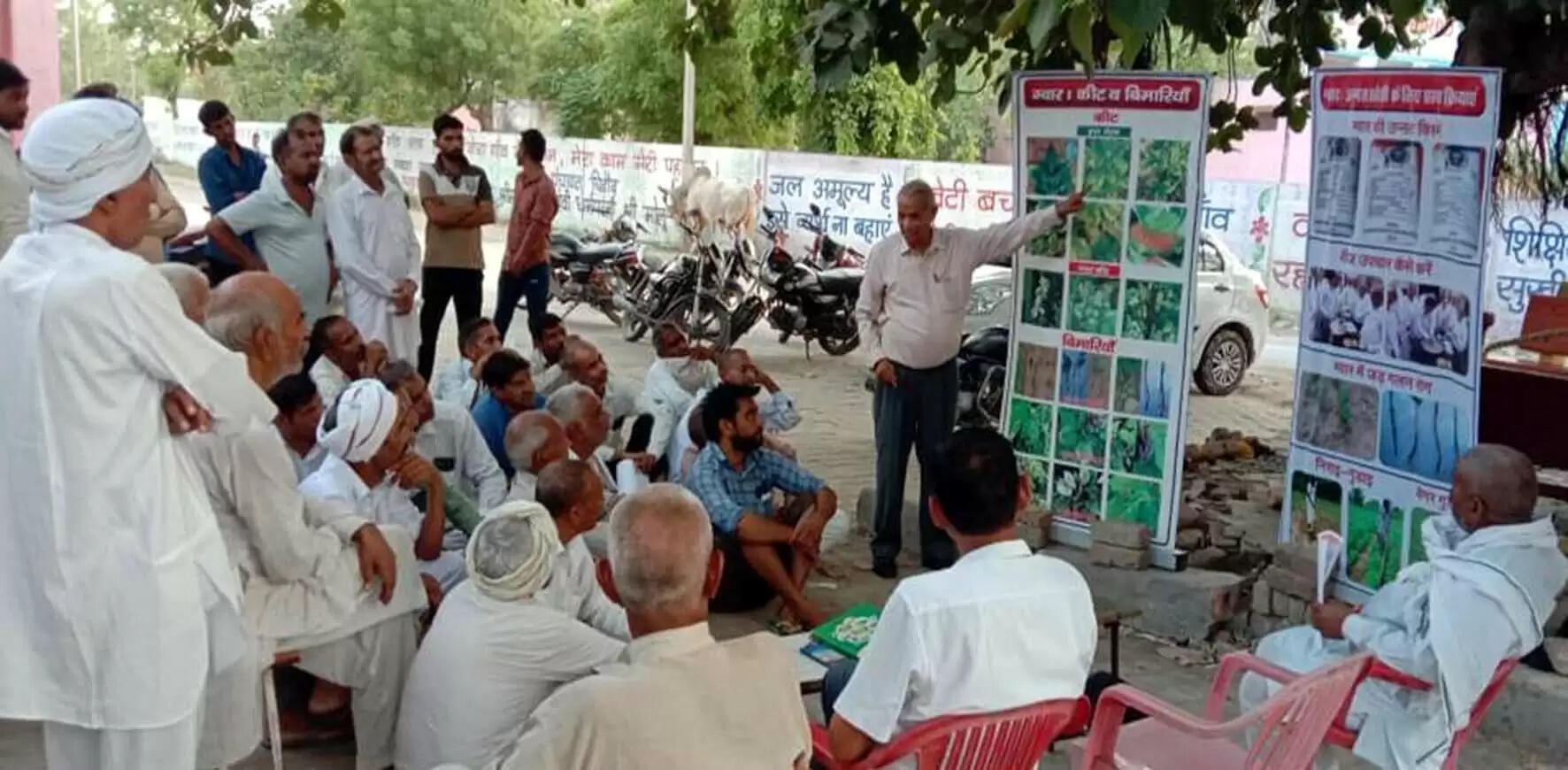 हिसार : ग्वार में उखेड़ा बीमारी की रोकथाम मात्र 15 रुपये के बीजोपचार से संभव : डाॅ. बीडी यादव