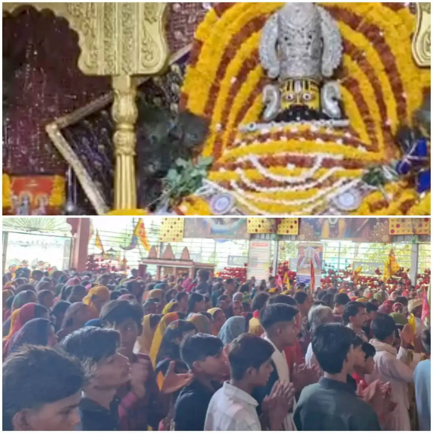 राजगढ़ : बाबा खाटू श्याम मंदिर में पद्मिनी एकादशी पर उमड़ा आस्था का सैलाब