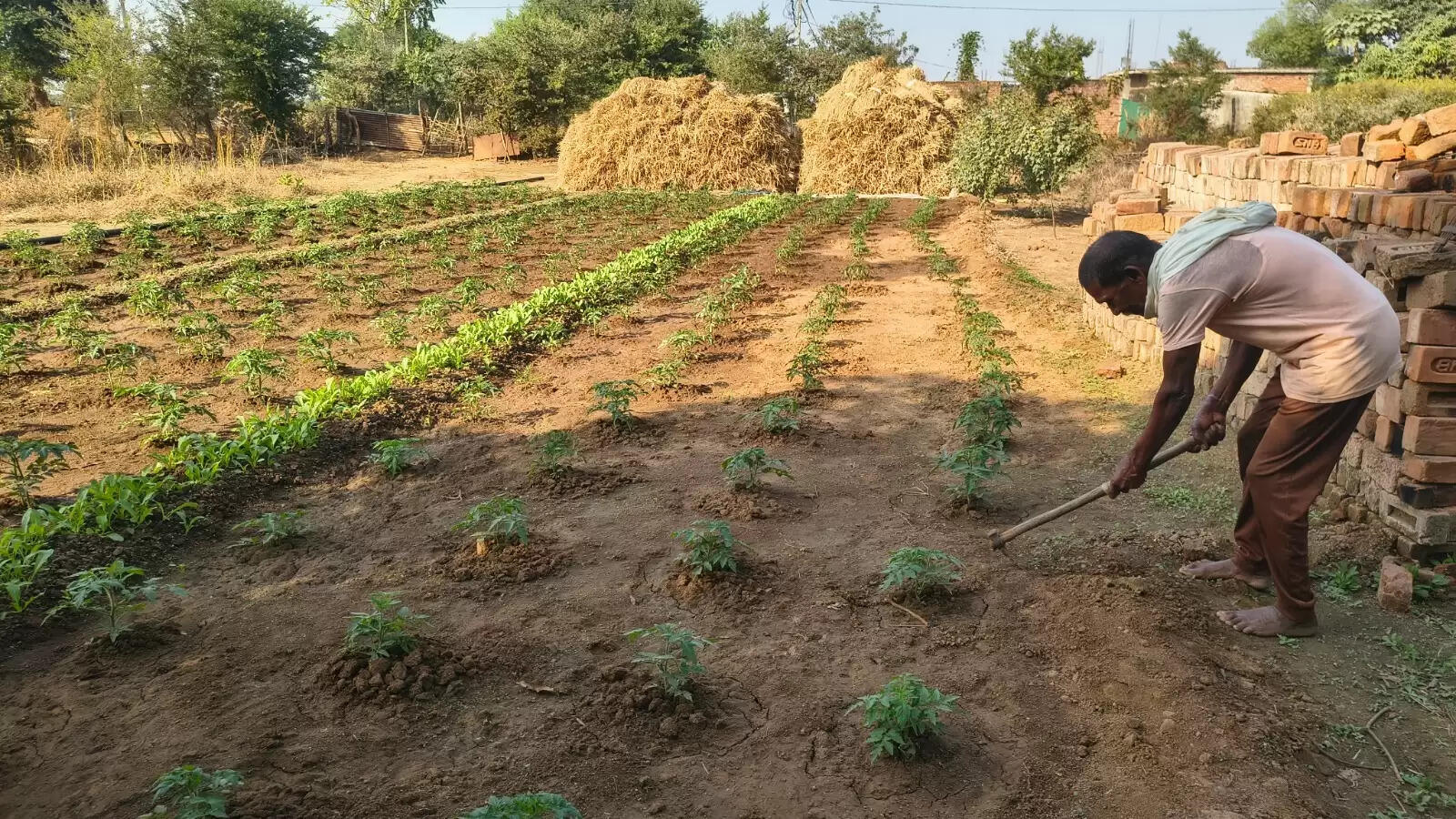 तीजराम केंवट का सहारा बनी मनरेगा डबरी