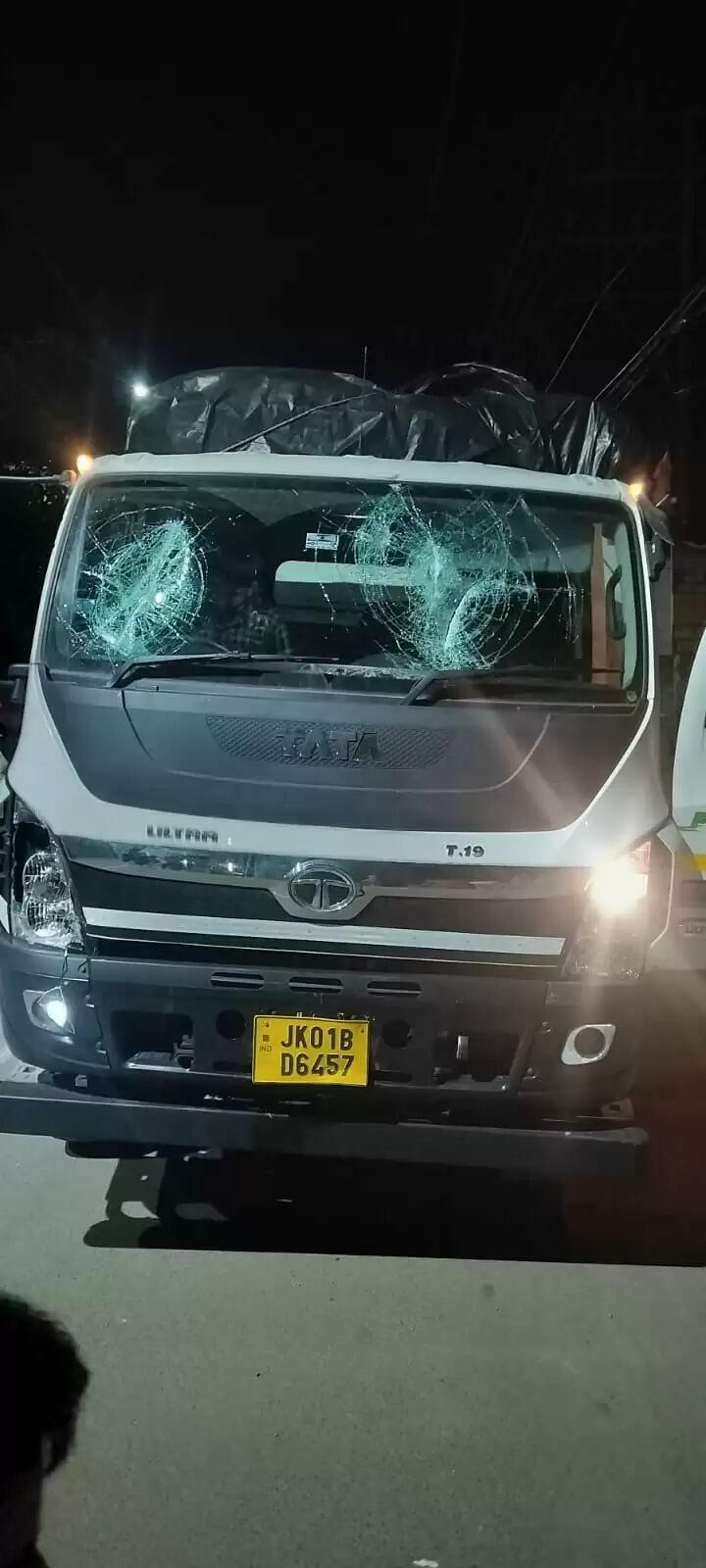 हटली मोड़ क्षेत्र में गौ-तस्करी प्रयास विफल, 12 मवेशी छुड़ाए, ट्रक जब्त