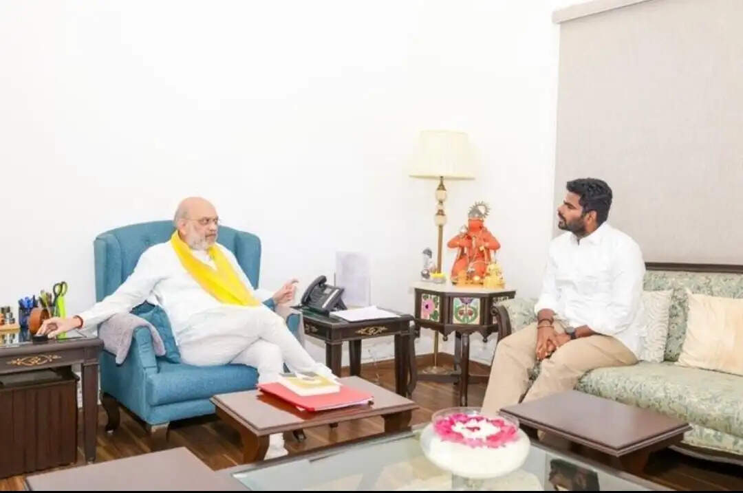 भाजपा छोड़ने की अटकलों के बीच अन्नामलाई ने की अमित शाह से मुलाकात
