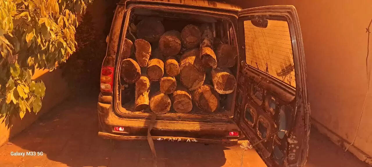 रख मुट्ठी में अवैध रूप से ले जाई जा रही खैर की लकड़ी से लदे वाहन पुलिस ने जब्त किए