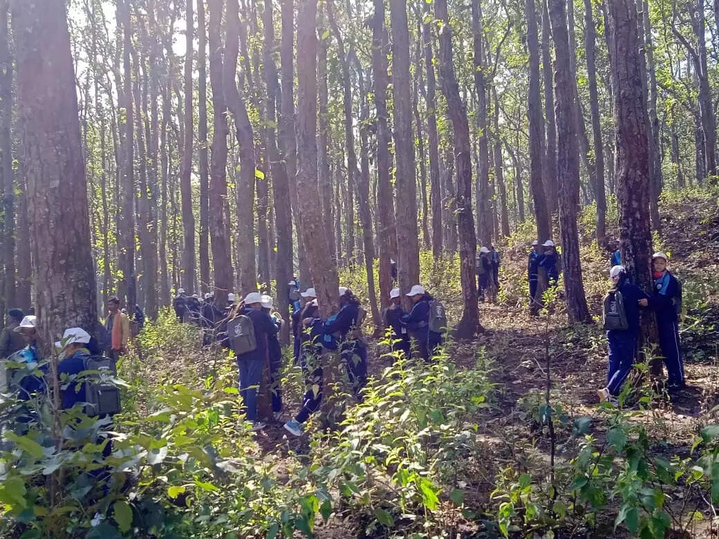 अनूपपुर: वन भ्रमण कर बच्चों ने जाना वनों का महत्व,प्रकृति,वन,वन्य प्राणियों को बचाने का लिया संकल्प