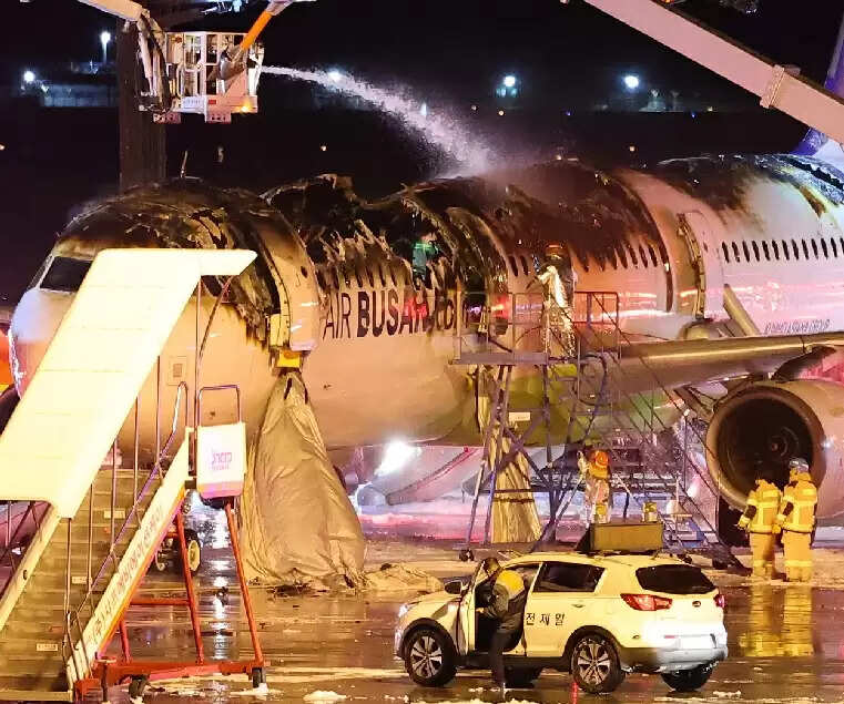 दक्षिण कोरिया में विमान में लगी आग, एक घंटे तक फंसे रहे 176 लोग&nbsp;