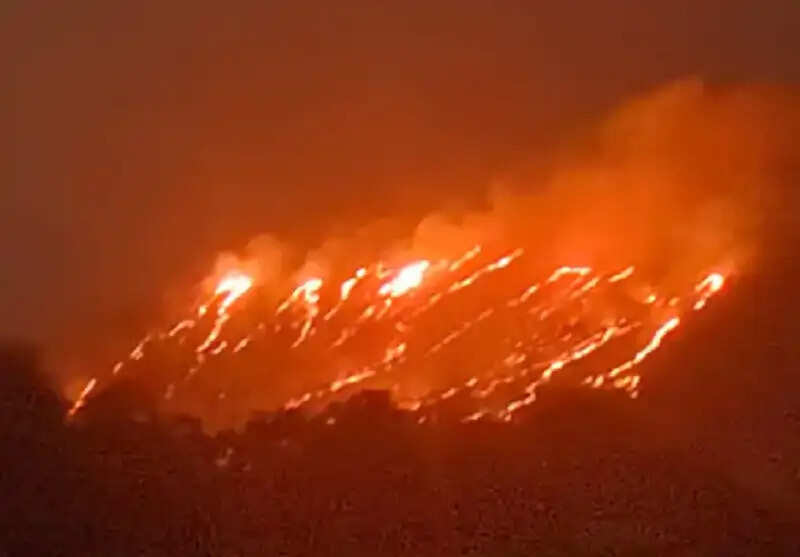 इंदौरः महू में जानापाव की पहाड़ी पर लगी आग, वन विभाग का अमला काबू पाने में जुटा
