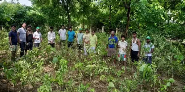 पर्यावरण संरक्षण की दिशा में पहल, चौबेपुर में गंगा के तट पर रोपा गया मियावाकी वन