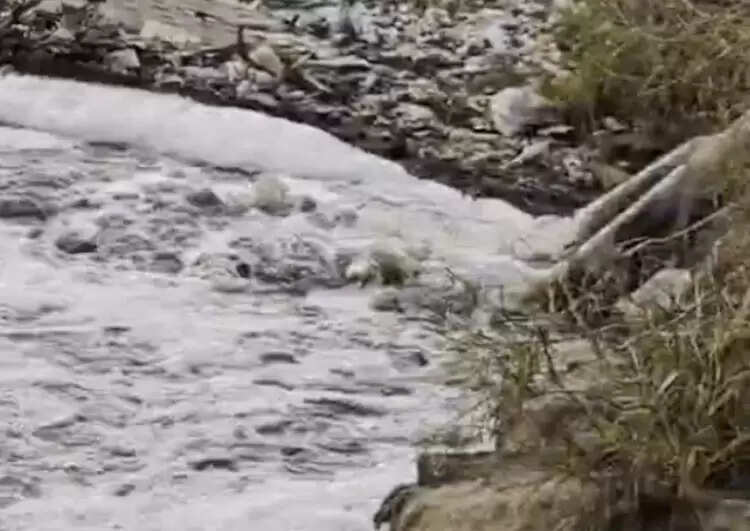 सोनीपत में सीएम के आदेश बेअसर,ड्रेन-6 में गिराया जा रहा केमिकल युक्त पानी