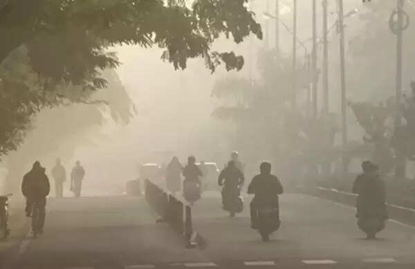 मध्‍य प्रदेश में ठंड के बीच उत्तरी हिस्से में छा रहा घना कोहरा, 20 जिलों में ज्यादा असर, लुढ़का पारा