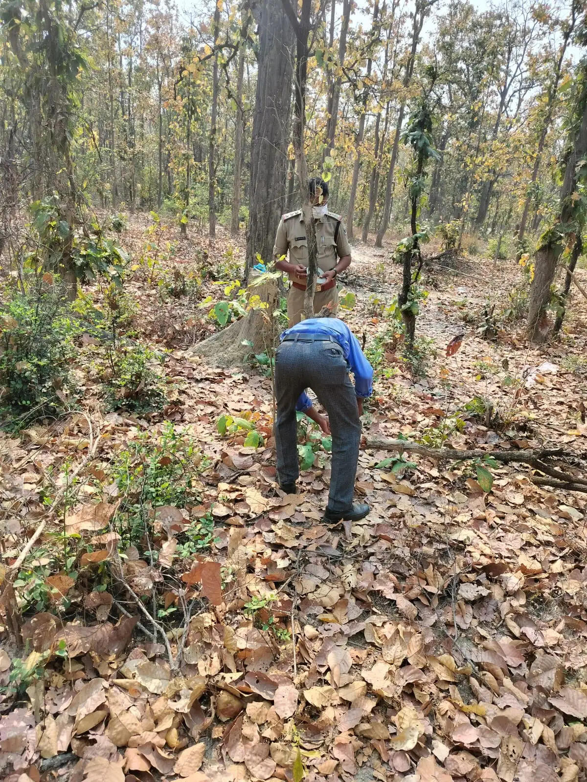बलरामपुर: मानसिक रूप से विक्षिप्त लापता महिला का जंगल में मिला शव, जांच में जुटी पुलिस