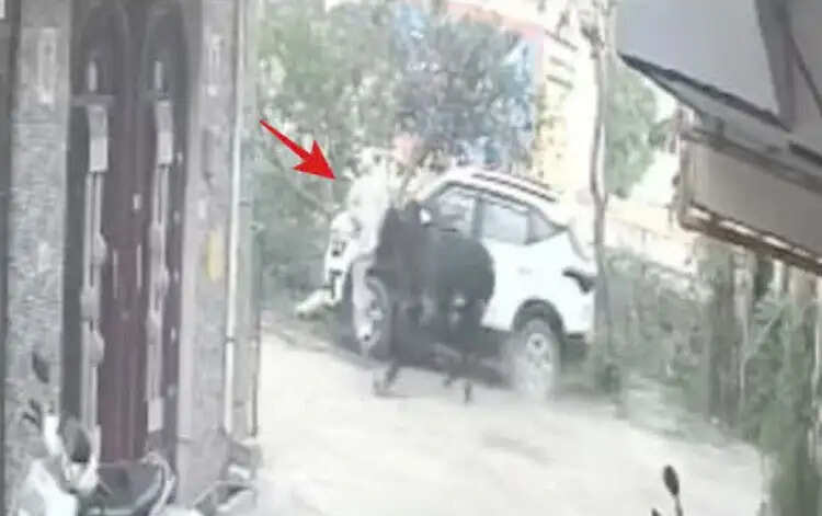 हरिद्वार की सड़कों पर टहलती मौत: सांड के हमले में बुजुर्ग की मौत