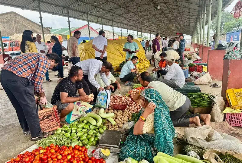 जबलपुरः साप्ताहिक जैविक हाट में किसानों को मिला उचित दाम, उपभोक्ताओं में भारी उत्साह