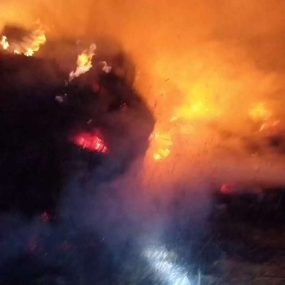 पुआल की टाल में लगी भीषण आग