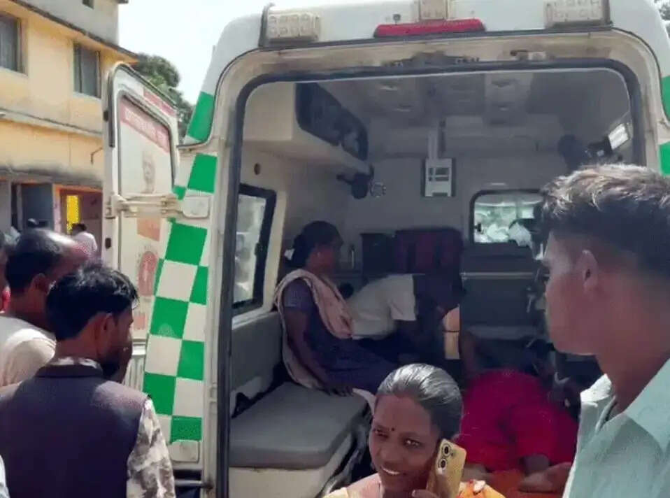 कुसमी में ब्रेक फेल होने से पेड़ से टकराई पिकअप, दो महिलाओं की मौत; नाै गंभीर घायल