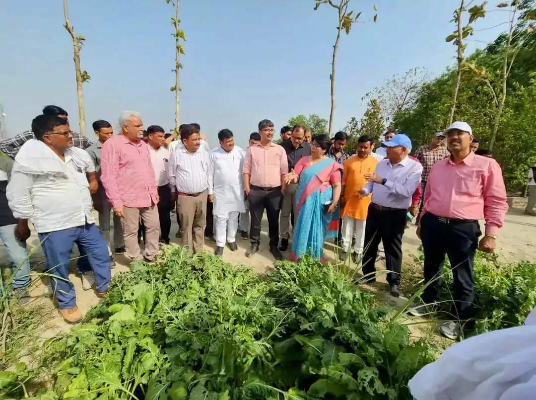 गन्ने के साथ चुकंदर की सह फसली खेती करके किसान बढ़ा सकते हैं अपनी आय : निदेशक