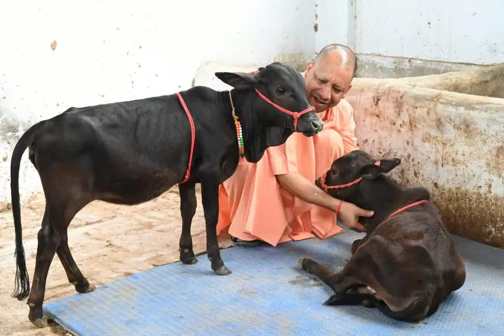 दक्षिण से आए गोवंश को सीएम योगी ने दिया भवानी और भोलू नाम