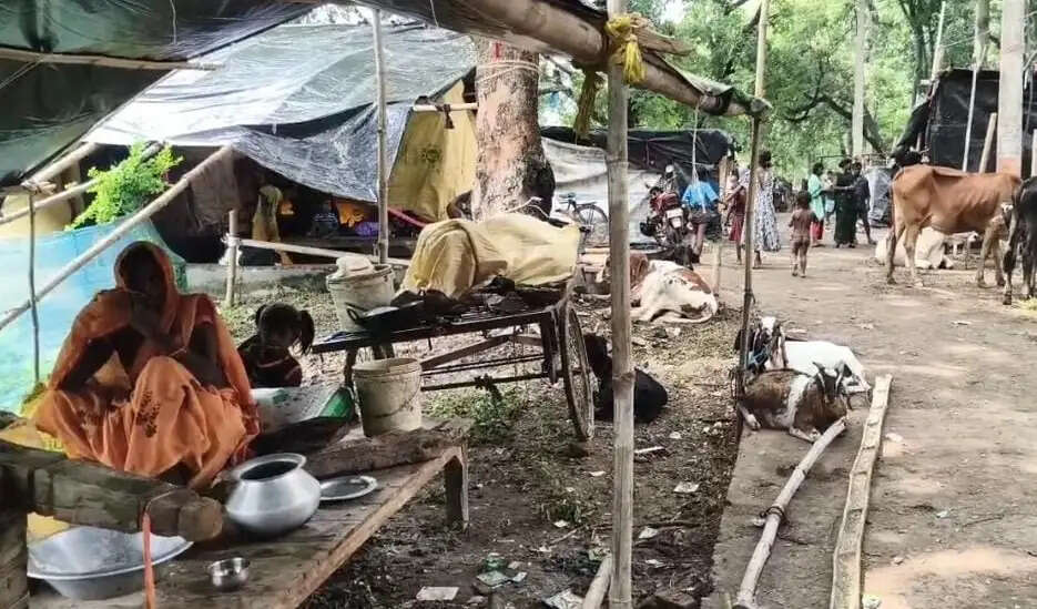 पानी उतरने के साथ बढ़ीं चुनौतियां, जिंदगी को दोबारा पटरी पर लाने की जद्दोजहद